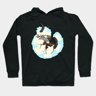 Avatar Appa Hoodie